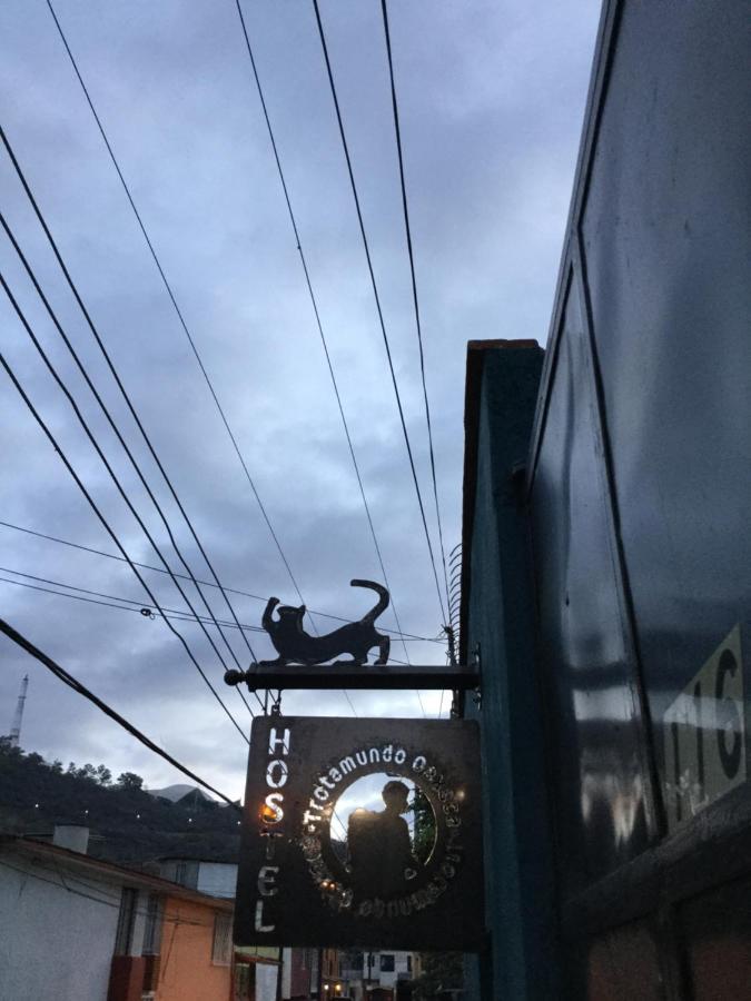 Trotamundo Oaxaca Hostel Kültér fotó